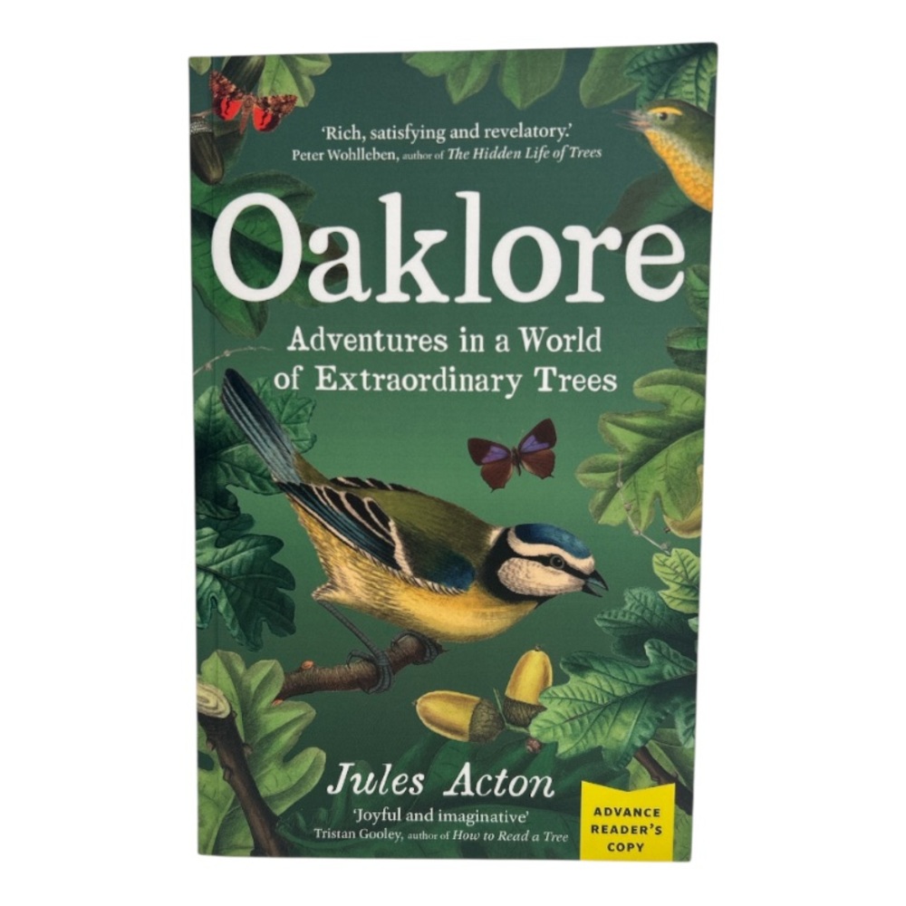 🌻4/$20 Oaklore Adventures Book by Jules Acton Paperback Edition 2024 - Picture 3 of 12